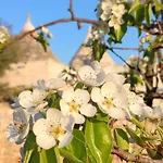 Trulli Abate Mauro Cisternino