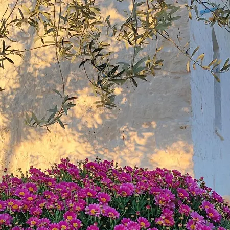 Trulli Abate Mauro 奇斯泰尼诺