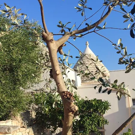 Feriehus Trulli Abate Mauro Cisternino