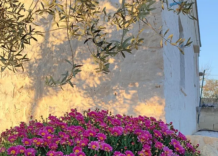 Trulli Abate Mauro Cisternino