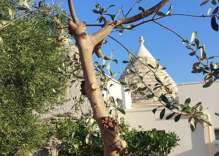 Nyaraló Trulli Abate Mauro Cisternino